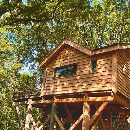 Dolce Et Cabane Berat Εξωτερικό φωτογραφία